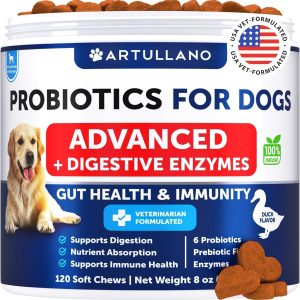 Probiotics for Dogs   Support Gut Health Itchy Skin Allergies Immunity Yeast Balance   Dog Probiotics and Digestive Enzymes with Prebiotics   Reduce Diarrhea Gas   120 Probiotic Chews for Dogs
