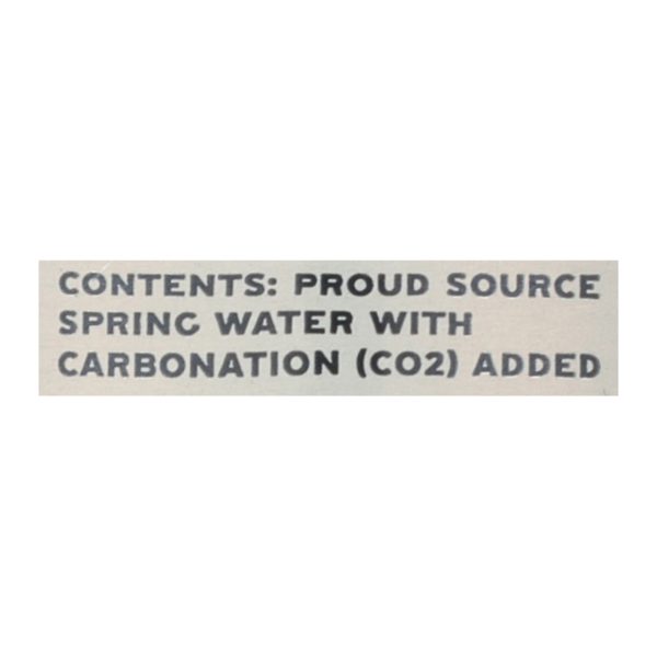 Proud Source - Water Spk Natural Spring - Case of 12-25.3 FZ - Image 3