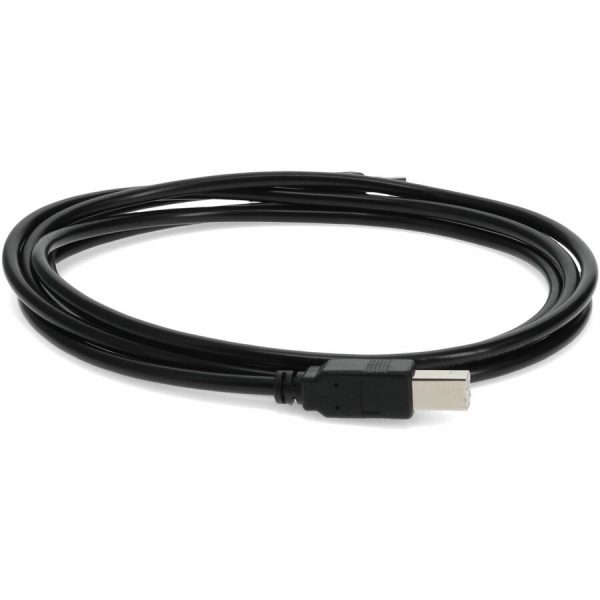 AddOn 12ft USB 2.0 (A) Male to USB 2.0 (B) Male Black Cable - Image 6