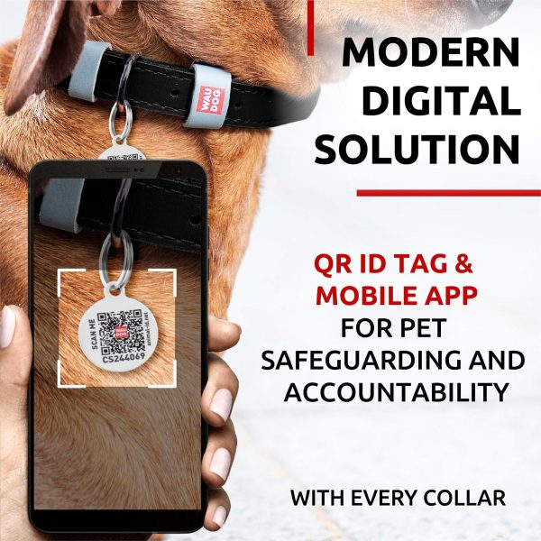 Long Lasting Leather Dog Collar for Large Dogs Medium & Small Dogs   Adjustable Classic Puppy Collars for Large Breed Dogs   Boy & Girl Dog Collars with Durable Buckle D Ring & QR Dog Tag - Image 4