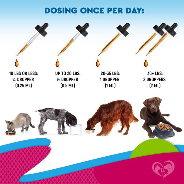 Cat & Dog Urinary Tract Infection Treatment & Natural UTI Medicine Cranberry Kidney Bladder Support Supplement   Best Prevention Incontinence Bladder Stones   Pet Renal Health & UTI Care Drops - Image 5
