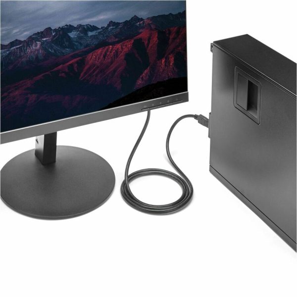 StarTech.com 6ft (1.8m) DisplayPort to DVI Cable, DisplayPort to DVI Adapter Cable, DP to DVI-D Converter, Replaced by DP2DVI2MM6 - Image 6