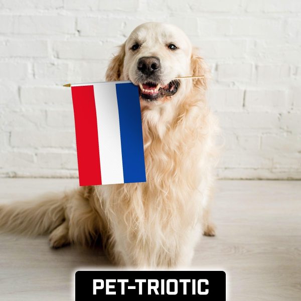 G128 50 Pack Handheld Netherlands Dutch Stick Flags | 12x18 In | Printed 150D Polyester, Country Flag, Solid Wooden Stick, Spear Gold Tip - Image 7