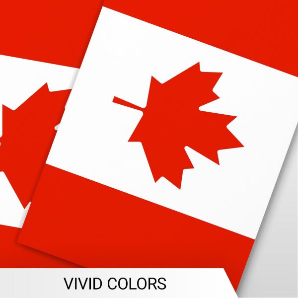 G128 Canada Canadian Bunting Banner | Flag 8.2 x 5.5 Inch, Full String 33 Feet | Printed 150D Polyester, Decorations For Bar, School, Festival Events Celebration - Image 6
