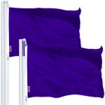 G128 2 Pack: Solid Violet Color Flag | 2x3 Ft | LiteWeave Pro Series Printed 150D Polyester | Indoor/Outdoor, Vibrant Colors, Brass Grommets, Thicker and More Durable Than 100D 75D Polyester