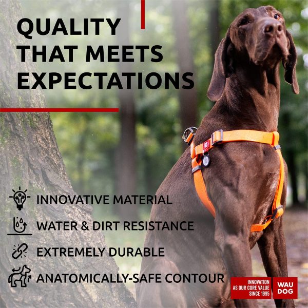 WAUDOG Waterproof Dog Harness   Adjustable Dog Harness for Large Dogs Small and Medium Dogs   Heavy Duty Dog Harness with Durable Metal Clasp and QR Dog Tag   Boy & Girl Dog Harness  Orange (24 35in) - Image 4