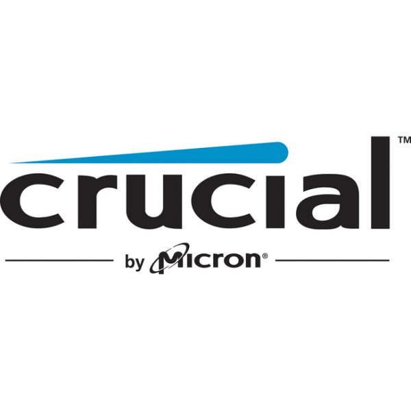 Crucial RAM Module