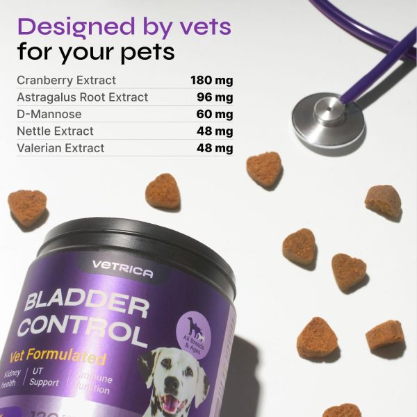 Dog UTI Treatment   Bladder Control Cranberry Chews   Dog Cranberry Supplement for Urinary Tract Bladder & Kidney Health   Cranberry D Mannose Soft Treats for Dog Incontinence   Healthy Bladder - Image 2
