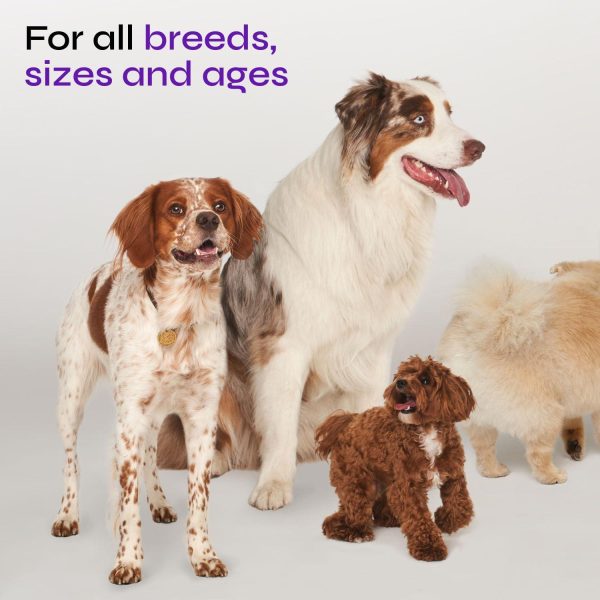Dog UTI Treatment   Bladder Control Cranberry Chews   Dog Cranberry Supplement for Urinary Tract Bladder & Kidney Health   Cranberry D Mannose Soft Treats for Dog Incontinence   Healthy Bladder - Image 7