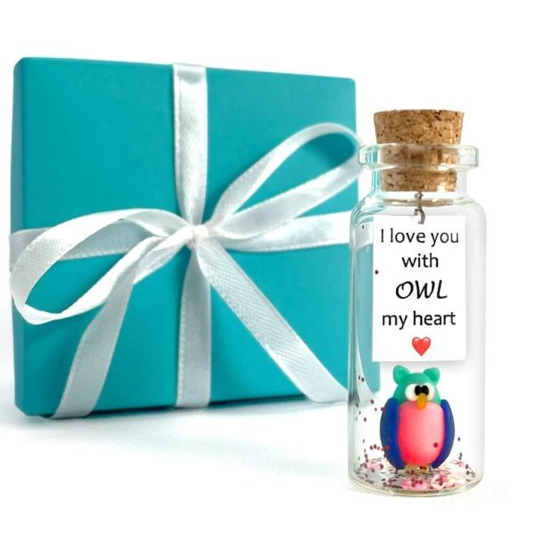 Cute and Kawaii Anniversary Presents   Personalized Love Gifts for Boyfriend Girlfriend   Romantic Gift for Her Him (Colorful Owl   I Love You with Owl My Heart in Teal Gift Box)