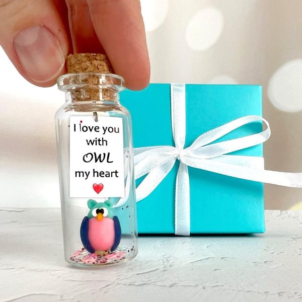 Cute and Kawaii Anniversary Presents   Personalized Love Gifts for Boyfriend Girlfriend   Romantic Gift for Her Him (Colorful Owl   I Love You with Owl My Heart in Teal Gift Box) - Image 2