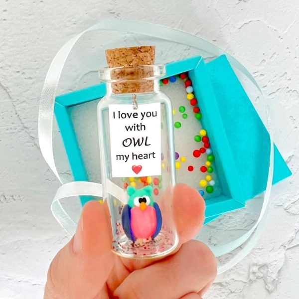 Cute and Kawaii Anniversary Presents   Personalized Love Gifts for Boyfriend Girlfriend   Romantic Gift for Her Him (Colorful Owl   I Love You with Owl My Heart in Teal Gift Box) - Image 3