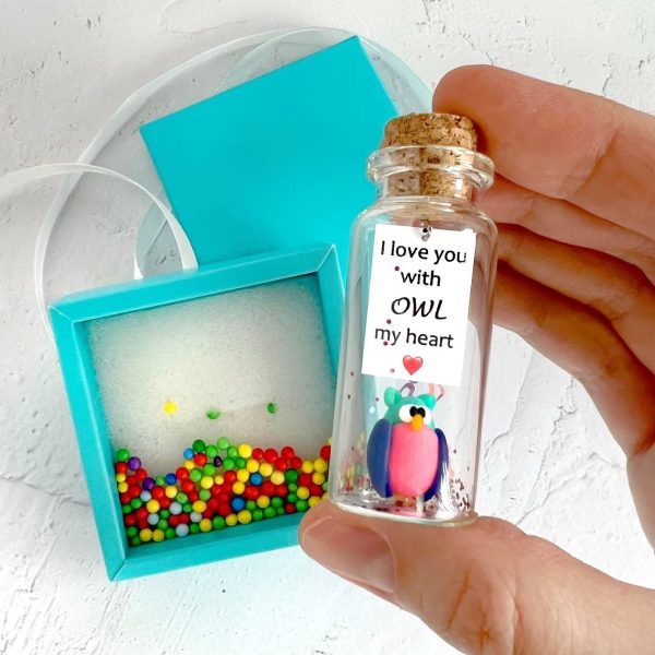 Cute and Kawaii Anniversary Presents   Personalized Love Gifts for Boyfriend Girlfriend   Romantic Gift for Her Him (Colorful Owl   I Love You with Owl My Heart in Teal Gift Box) - Image 5