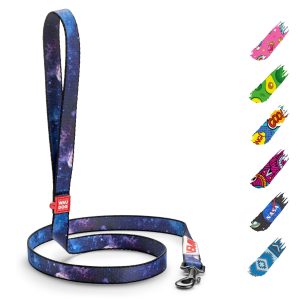 WAUDOG Nylon Dog Leash for Small Dogs and Medium Dogs 4 Ft   Strong Dog Leash for Large Dogs   Heavy Duty Dog Leashes for Large Breed Dogs & Puppy Leash for Small Boy & Girl Dogs