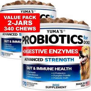 2 Pack Probiotics for Dogs and Digestive Enzymes   Dog Probiotics Chews   Dog Probiotic   Anti Diarrhea Upset Stomach & Gas Relief Constipation Canine Prebiotic   Pet Fiber Supplement