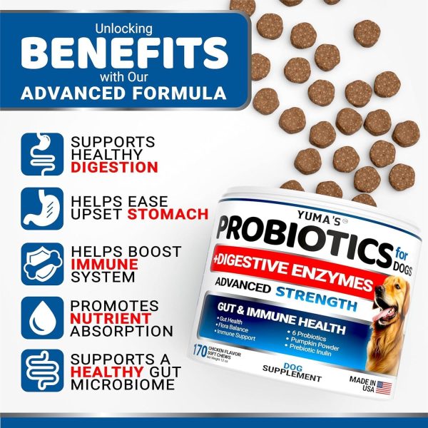 2 Pack Probiotics for Dogs and Digestive Enzymes   Dog Probiotics Chews   Dog Probiotic   Anti Diarrhea Upset Stomach & Gas Relief Constipation Canine Prebiotic   Pet Fiber Supplement - Image 2