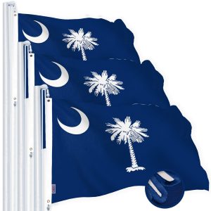 G128 3 Pack: South Carolina SC State Flag | 4x6 Ft | StormFlyer Series Embroidered 220GSM Spun Polyester | Embroidered Design, Indoor/Outdoor, Brass Grommets, Heavy Duty, All Weather