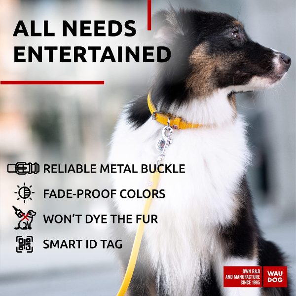 WAUDOG Ultra Soft Rolled Leather Dog Collar for Small Dogs   Soft Padded Dog Collars for Medium Dogs   Puppy Collars for Large Breed Dogs   Male and Female Dog Collar - Image 5