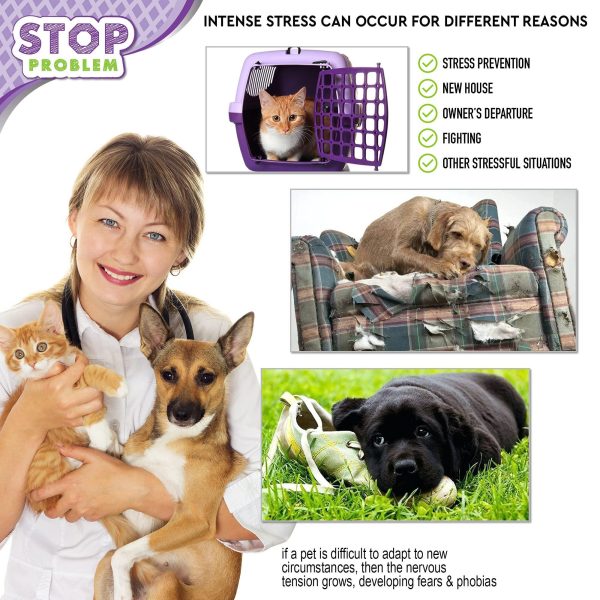 Beloved Pets Cat Calming Diffuser & Pet Anti Anxiety Products   Feline Calm Pheromones Plug in & Cats Stress Relief Comfort Help with Aggression New Zone Pee Fighting with Dogs & Other Behavior - Image 5