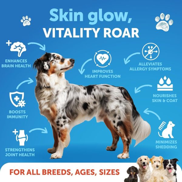 Salmon Oil for Dogs   Omega 3 for Dogs   8 FL OZ Wild Alaskan Salmon Fish Oil   Natural EPA & DHA Fatty Acids for Skin & Coat Allergy Joint & Bone Health   Liquid Support Supplement for Shedding - Image 2