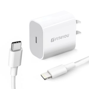 Fast Charger