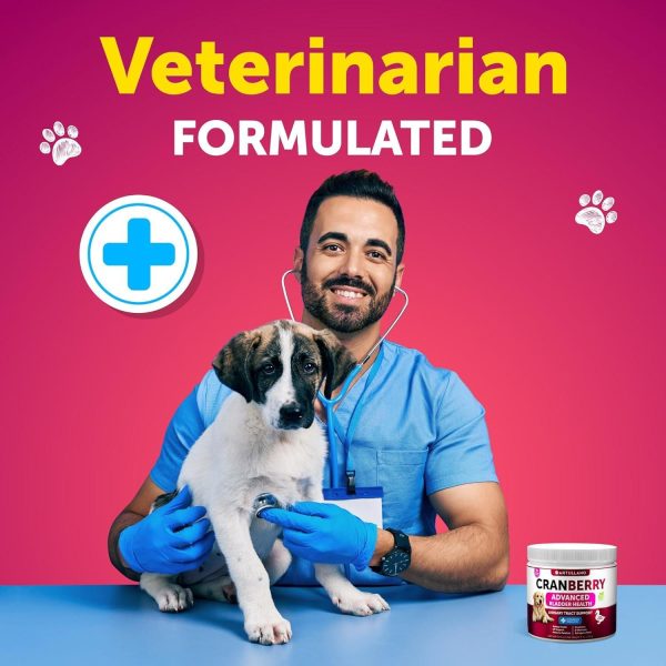 Dog UTI Treatment   Cranberry Supplement & Bladder Control for Dogs   Urinary Tract Infection Incontinence Pill Bladder Stones   UTI Medicine Treats   120 Soft Chews for Kidney Support with Fish Oil - Image 7
