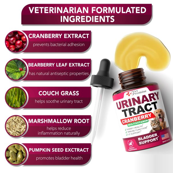 Natural UTI Drops for Cats & Dogs with Cranberry   Advanced Bladder & Kidney Health Supplement   Vet Formulated Multivitamin   Made in USA - Image 2