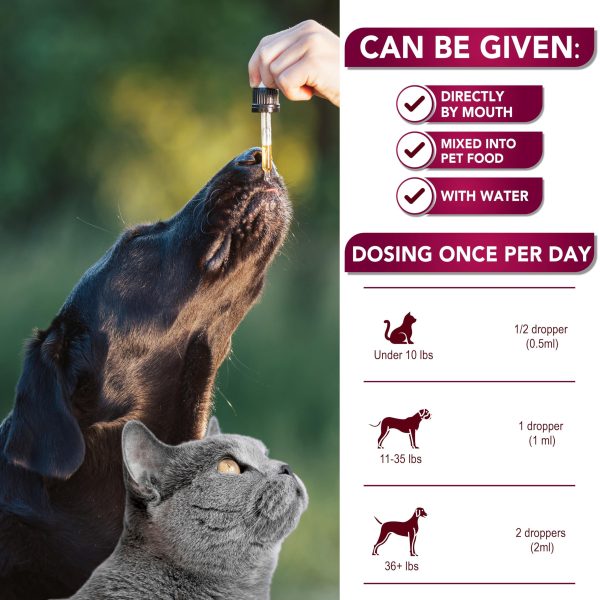 Natural UTI Drops for Cats & Dogs with Cranberry   Advanced Bladder & Kidney Health Supplement   Vet Formulated Multivitamin   Made in USA - Image 4