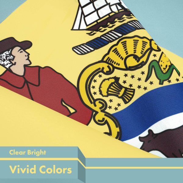 G128 10 Pack: Delaware DE State Flag | 3x5 Ft | LiteWeave Pro Series Printed 150D Polyester | Indoor/Outdoor, Vibrant Colors, Brass Grommets, Thicker and More Durable Than 100D 75D Polyester - Image 3