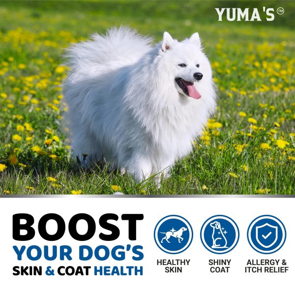 Omega 3 Fish Oil for Dogs   170 Chews   Skin and Coat Supplement   Omega 3 for Dogs   Dry & Itchy Skin Relief Treatment   Allergy Support   Dog Anti Shedding Treats   Shiny Coats   EPA & DHA   Salmon - Image 4