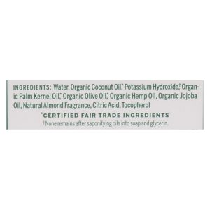Dr. Bronner's - Castile Liquid Sp Almond - 1 Each-GAL