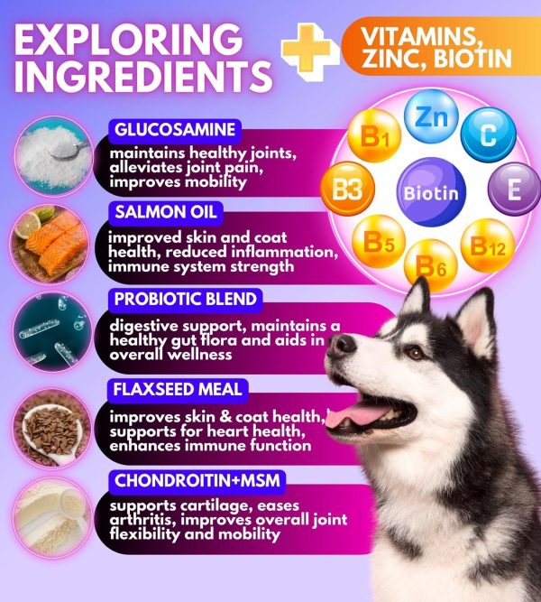 Dog Multivitamin Chewable with Glucosamine 16 in 1   Dog Vitamins and Supplements   Senior & Puppy Multivitamin for Dogs   Hip and Joint Support Health   Immunity  Mobility   Gut, Skin, Heart, Coat - Image 3