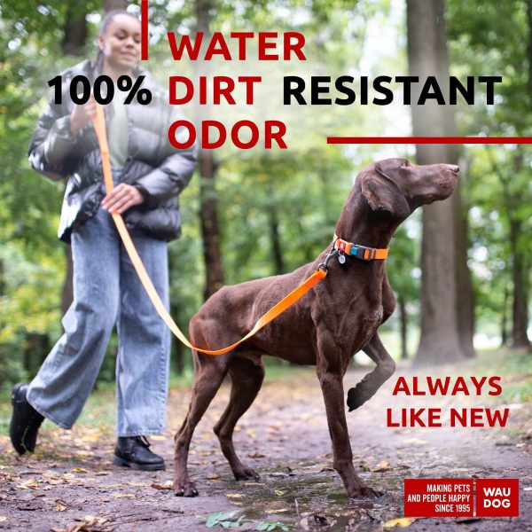 Waterproof Dog Leash 4 Ft   6 Ft   Anti Slip Dog Leash for Large Dogs Small and Medium Dogs   Heavy Duty Dog Leash with Water and Dirt Resistant   Long Or Short Dog Leashes for Boy & Girl Dogs - Image 2