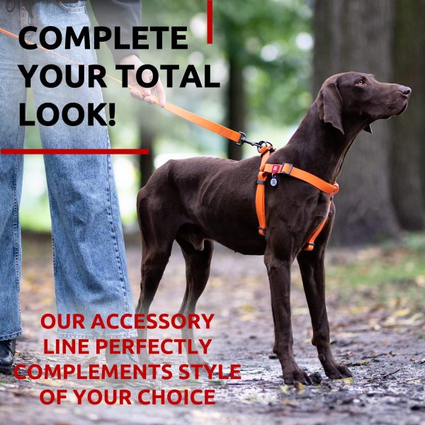 Waterproof Dog Leash 4 Ft   6 Ft   Anti Slip Dog Leash for Large Dogs Small and Medium Dogs   Heavy Duty Dog Leash with Water and Dirt Resistant   Long Or Short Dog Leashes for Boy & Girl Dogs - Image 6
