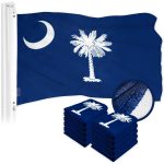 G128 10 Pack: South Carolina SC State Flag | 4x6 Ft | ToughWeave Series Embroidered 300D Polyester | Embroidered Design, Indoor/Outdoor, Brass Grommets