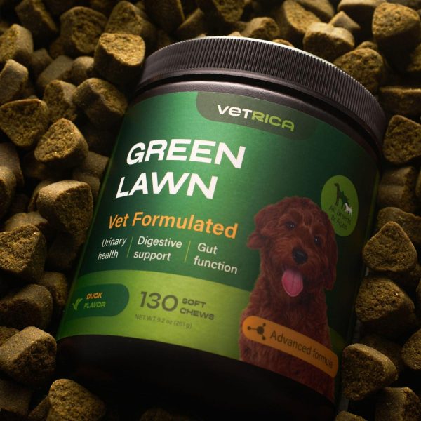 Dog Urine Neutralizer for Lawn   Grass Burn Spot Chews for Dogs   Dog Pee Lawn Spot Saver Caused by Dog Urine   Digestive Health Support Soft Chews   Grass Savers for Dog Urine   Grass Treatment Rocks - Image 9