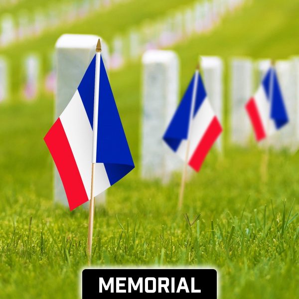 G128 30 Pack Handheld France French Stick Flags | 12x18 In | Printed 150D Polyester, Country Flag, Solid Wooden Stick, Spear Gold Tip - Image 4