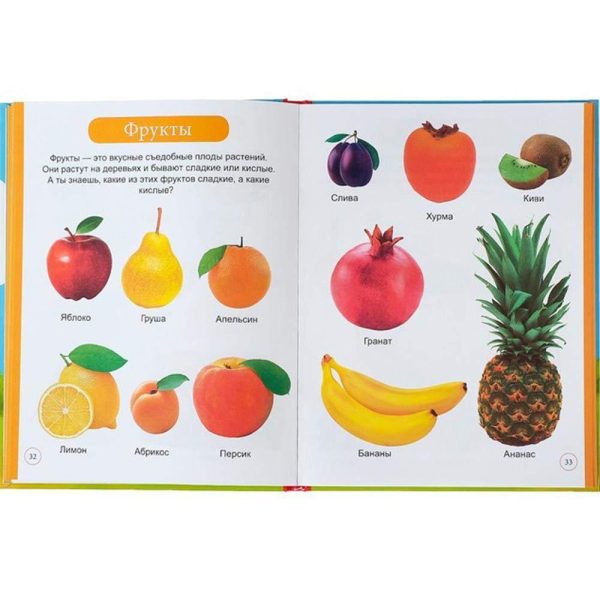 Pervaya Encyklopedia Malysha   The First Encyclopedia of The Baby in Hardcover   Первая Энциклопедия Малыша В Твердом Переплете - Image 5
