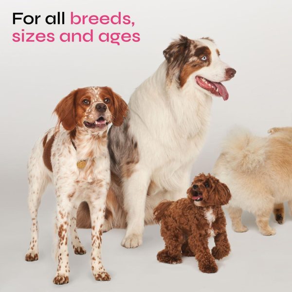 Dog Allergy Relief Chews   Dog Itching Skin Relief   Anti Itch for Dogs   Dog Itch Relief Chews   Hot Spot Treatment   Seasonal Allergy Support Supplements   Allergy Chews   Allergy Immune Treats - Image 7