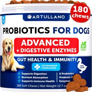 Probiotics for Dogs   Support Gut Health Itchy Skin Allergies Immunity Yeast Balance   Dog Probiotics and Digestive Enzymes with Prebiotics   Reduce Diarrhea Gas   180 Probiotic Chews for Dogs