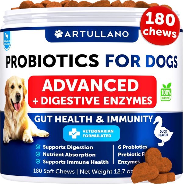 Probiotics for Dogs   Support Gut Health Itchy Skin Allergies Immunity Yeast Balance   Dog Probiotics and Digestive Enzymes with Prebiotics   Reduce Diarrhea Gas   180 Probiotic Chews for Dogs