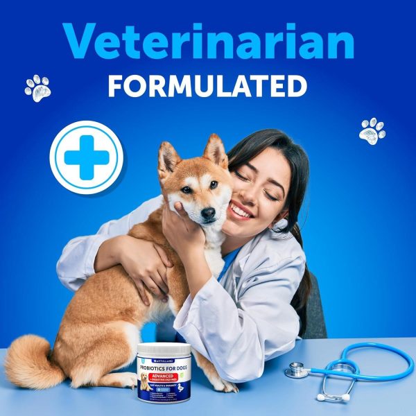 Probiotics for Dogs   Support Gut Health Itchy Skin Allergies Immunity Yeast Balance   Dog Probiotics and Digestive Enzymes with Prebiotics   Reduce Diarrhea Gas   180 Probiotic Chews for Dogs - Image 7