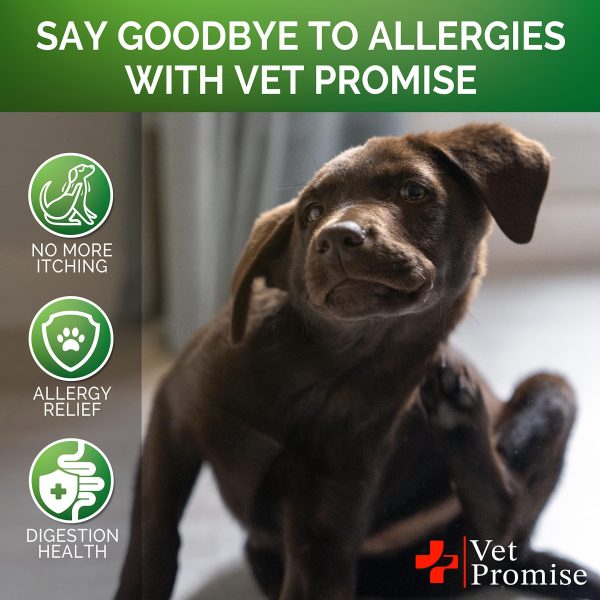 Dog Allergy Chews   Itch Relief for Dogs   Dog Allergy Relief   Anti Itch for Dogs   Dog Itchy Skin Treatment   Dog Allergy Support   Hot Spots   Immune Health Supplement   Made in USA   120 Treats - Image 4