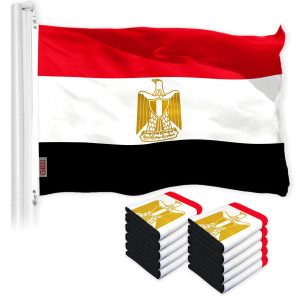 Egypt Egyptian Flag 3x5 Ft 10-Pack 150D Printed Polyester By G128