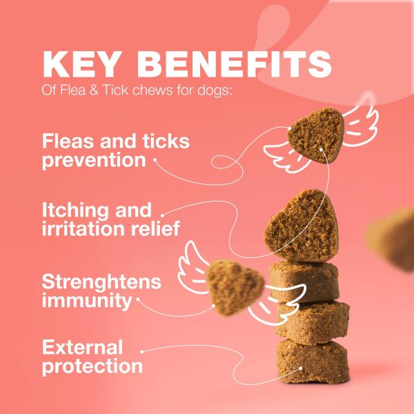 Dog Flea and Tick Treatment Chews   Flea and Tick Prevention for Dogs   Flea & Tick Chewables   Natural Dog Flea & Tick Control Soft Treats   Flea Chewables for Dogs   Immune Support Supplement - Image 3