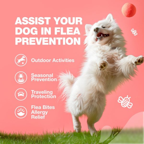 Dog Flea and Tick Treatment Chews   Flea and Tick Prevention for Dogs   Flea & Tick Chewables   Natural Dog Flea & Tick Control Soft Treats   Flea Chewables for Dogs   Immune Support Supplement - Image 4