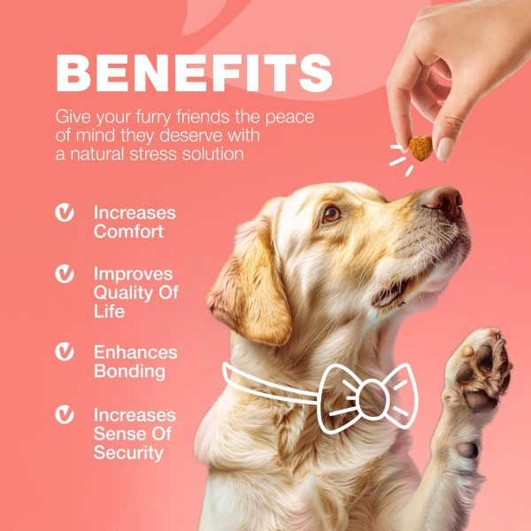 Dog Flea and Tick Treatment Chews   Flea and Tick Prevention for Dogs   Flea & Tick Chewables   Natural Dog Flea & Tick Control Soft Treats   Flea Chewables for Dogs   Immune Support Supplement - Image 8