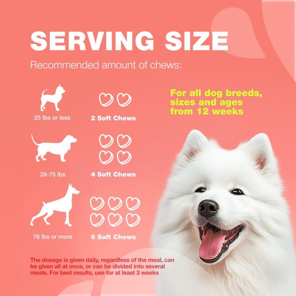 Dog Flea and Tick Treatment Chews   Flea and Tick Prevention for Dogs   Flea & Tick Chewables   Natural Dog Flea & Tick Control Soft Treats   Flea Chewables for Dogs   Immune Support Supplement - Image 9