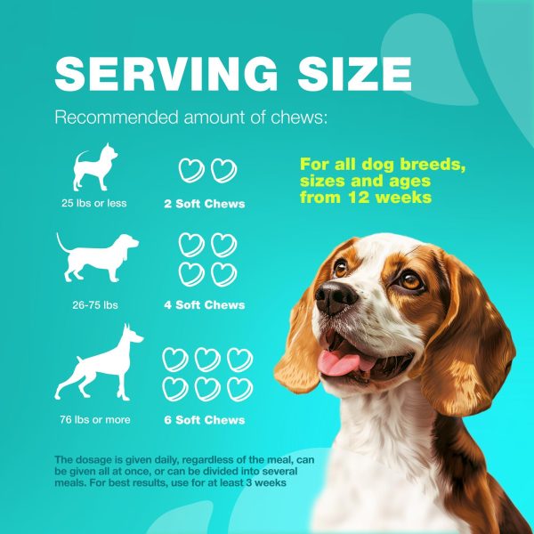 Digestive Gut & Immune Health Soft Dog Chews   No Poo Treats for Dogs   Enzymes Pumpkin & Yam Powder - Image 4