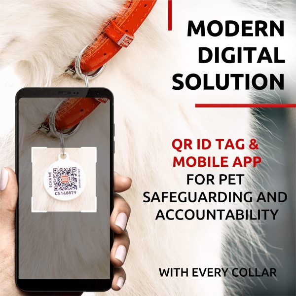 Ultra Soft Rolled Leather Dog Collar for Small Dogs   Soft Padded Dog Collars for Medium Dogs   Puppy Collars for Large Breed Dogs   Male and Female Dog Collar - Image 3